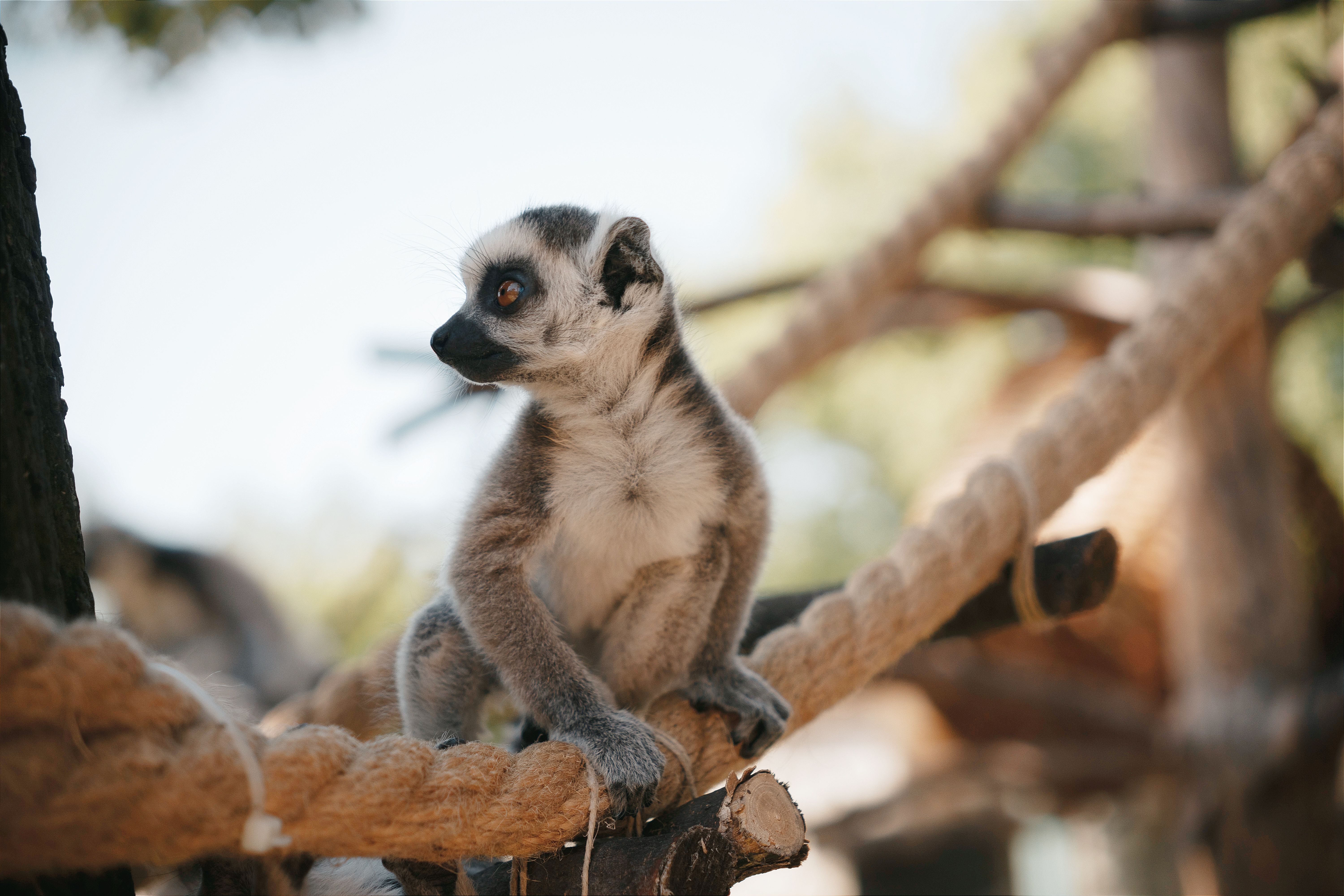 Première visite au zoo avec un enfant : le guide des parents