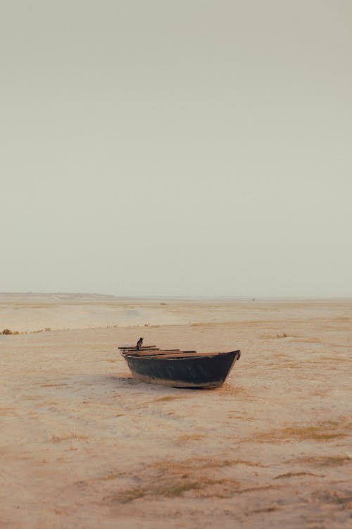 Безкоштовне стокове фото на тему «бангладеш, берег моря, вода»
