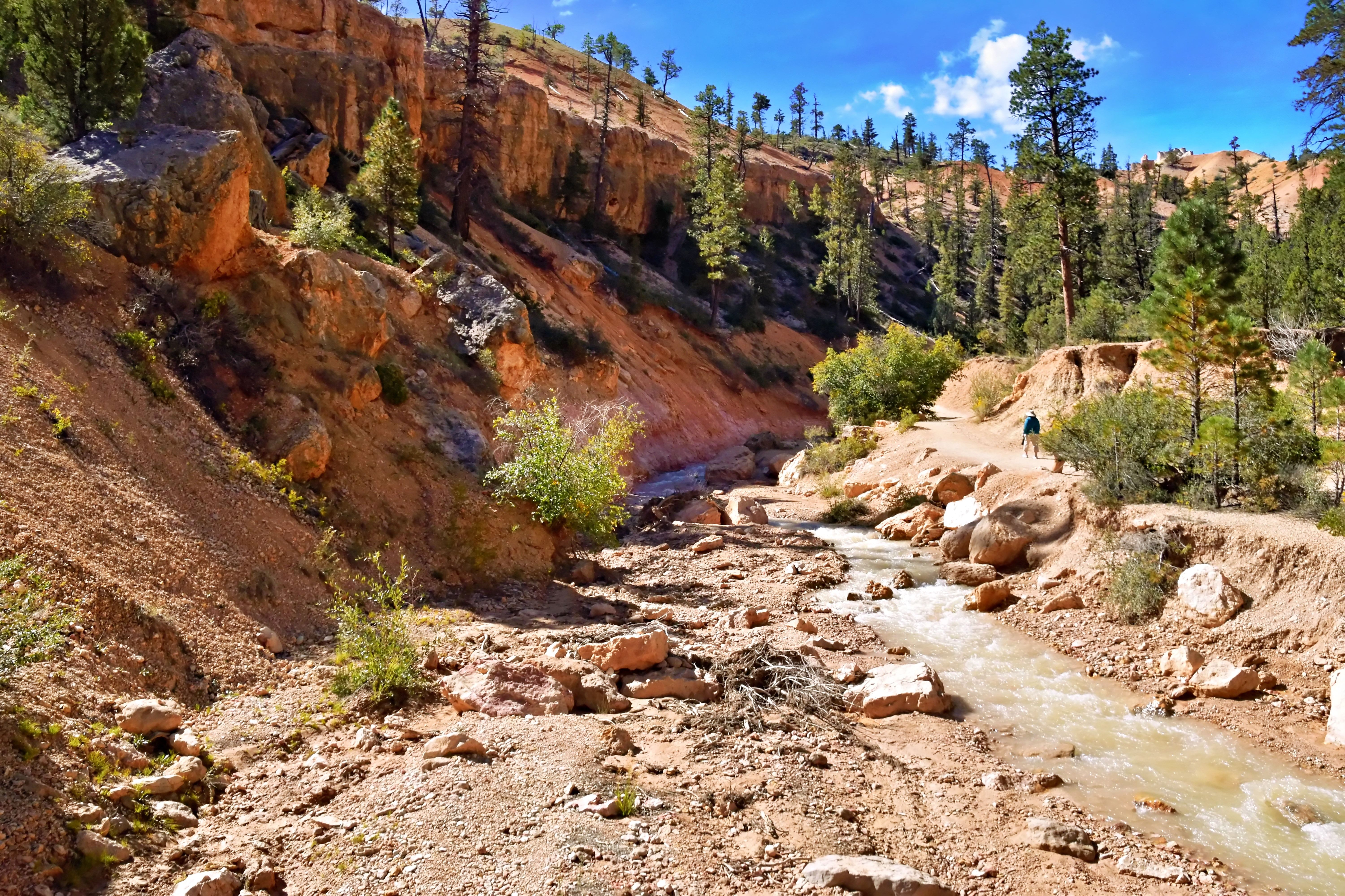 Explore the scenic beauty of a hiking trail in Bryce Canyon National Park, Utah.