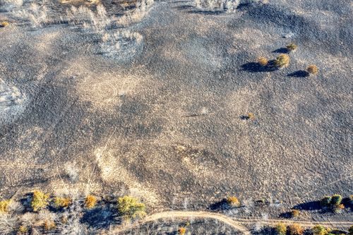 Free Aerial shot capturing a burnt dry landscape in West Newton, MN, showcasing texture and seasonal transition. Stock Photo