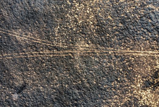 A high-resolution abstract image of a weathered textured surface with natural patterns and scratches.