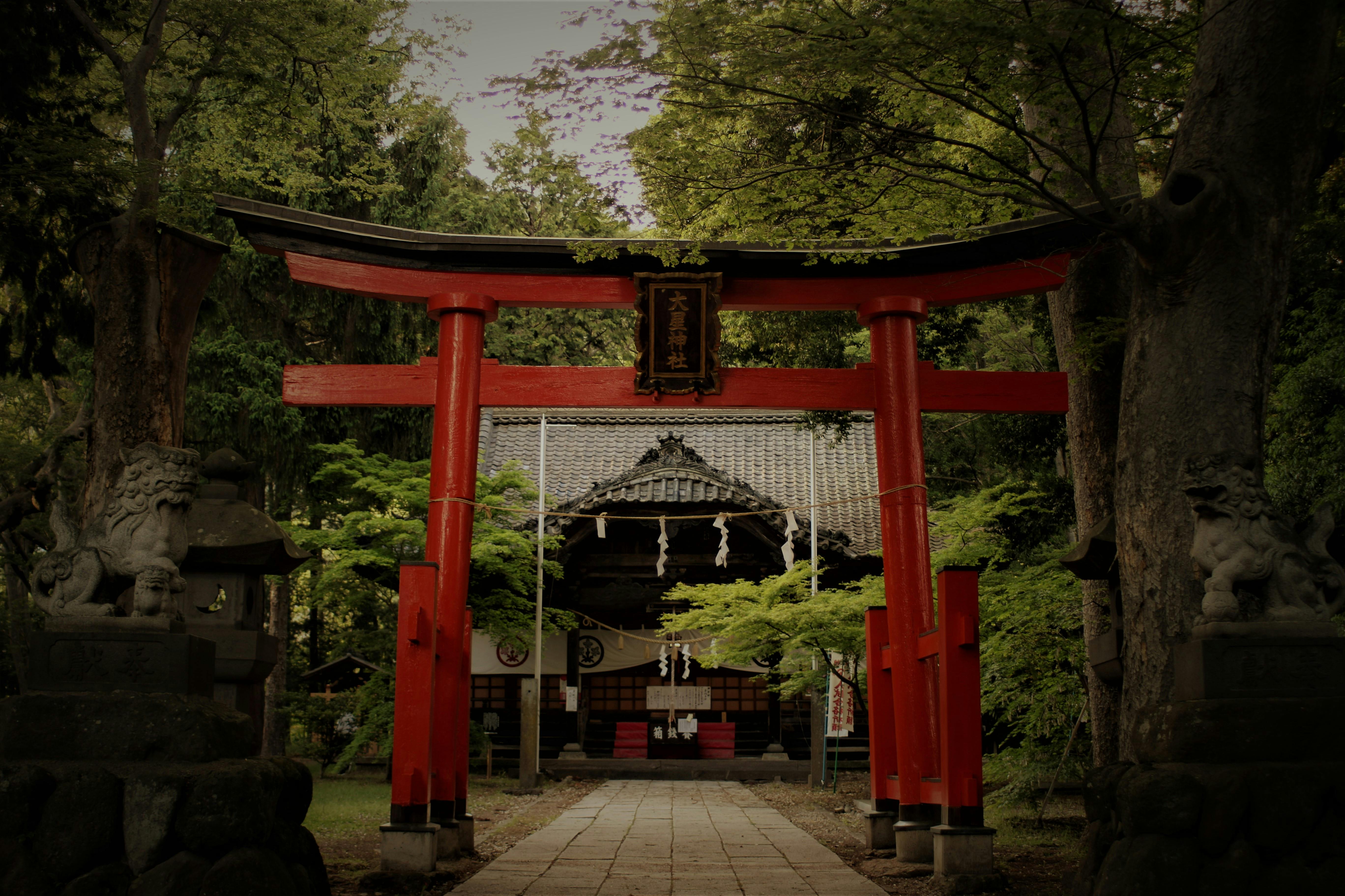 31++ Spring Temple Buddha Hd Wallpaper - Basty Wallpaper
