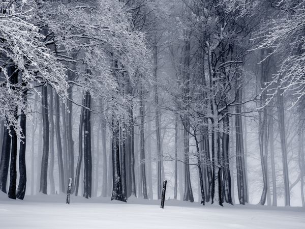 Mindfulness intensivo