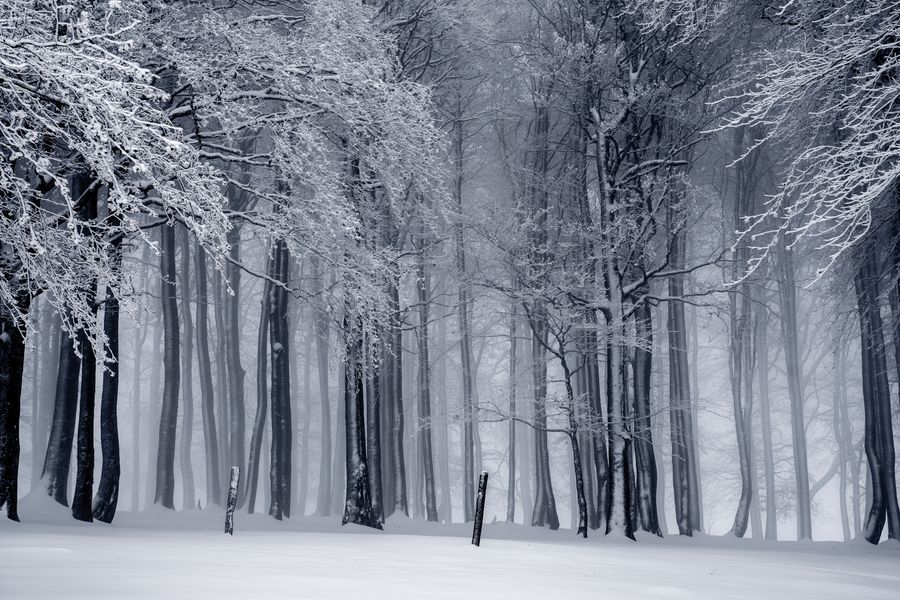 Winterdienst – Schneeräumung & Streudienst