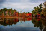 宁静的湖泊倒映着生动的树叶，构成令人惊叹的秋季景观
