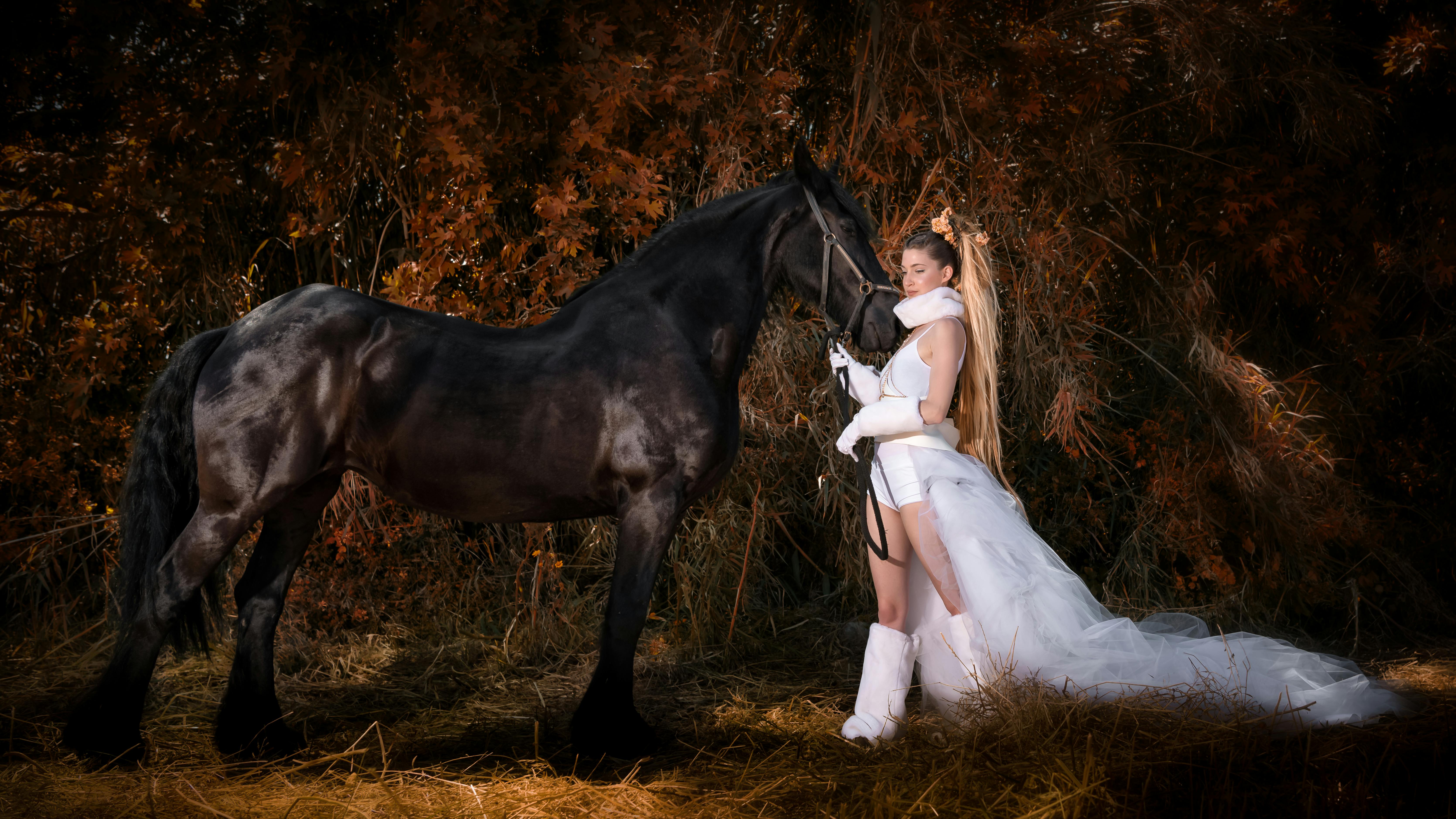 Free stock photo of fashion model, fashion shoot, horse