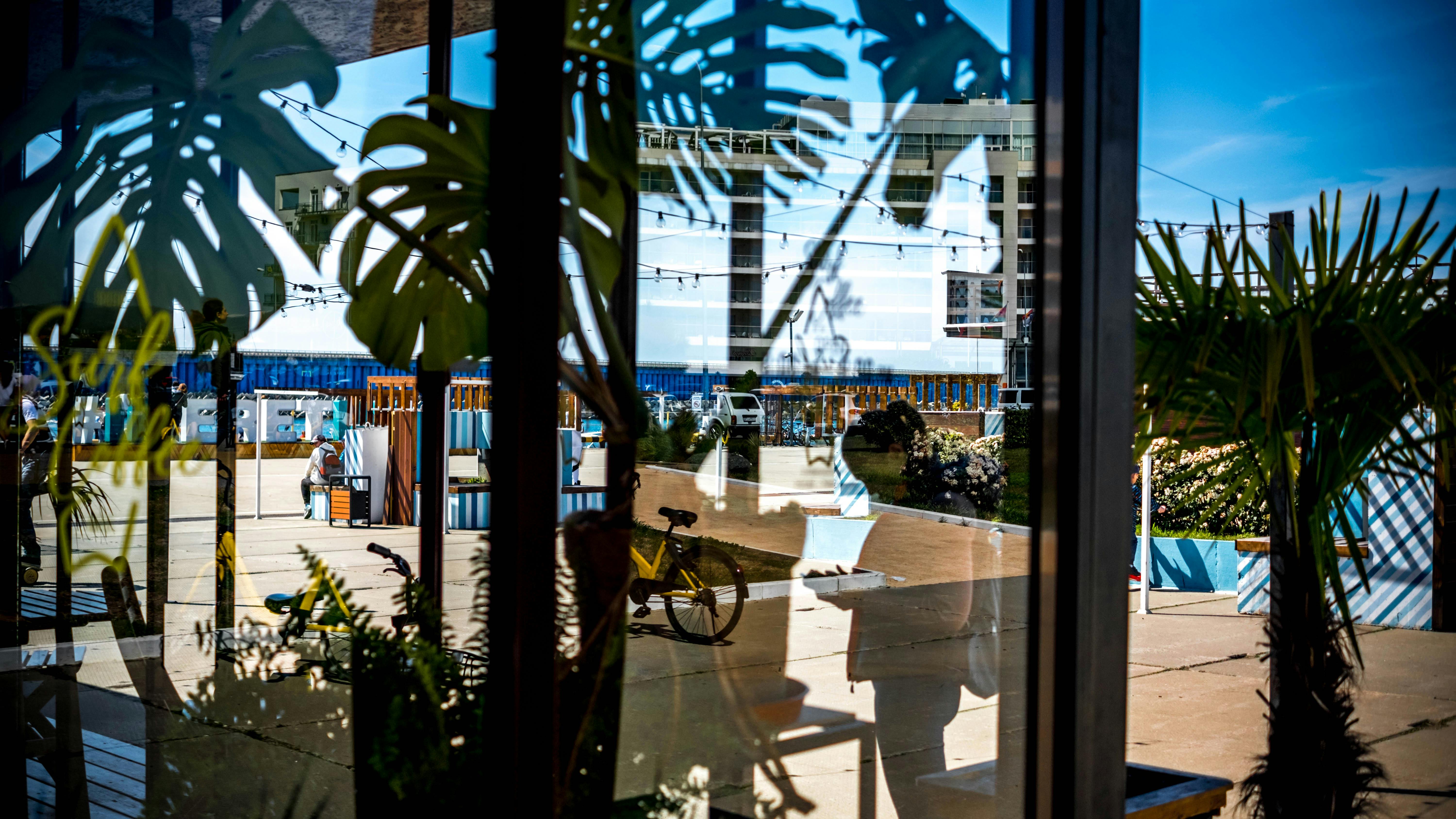 索契的植物和海滨建筑得到了生动的反映