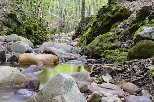 Grey Rocks on River Landscape Photography