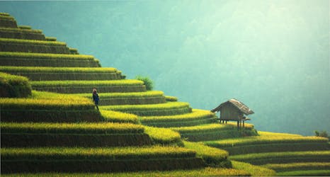 Person Standing on Terraces in Asia