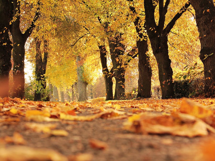 How much can you walk after TURP surgery?
