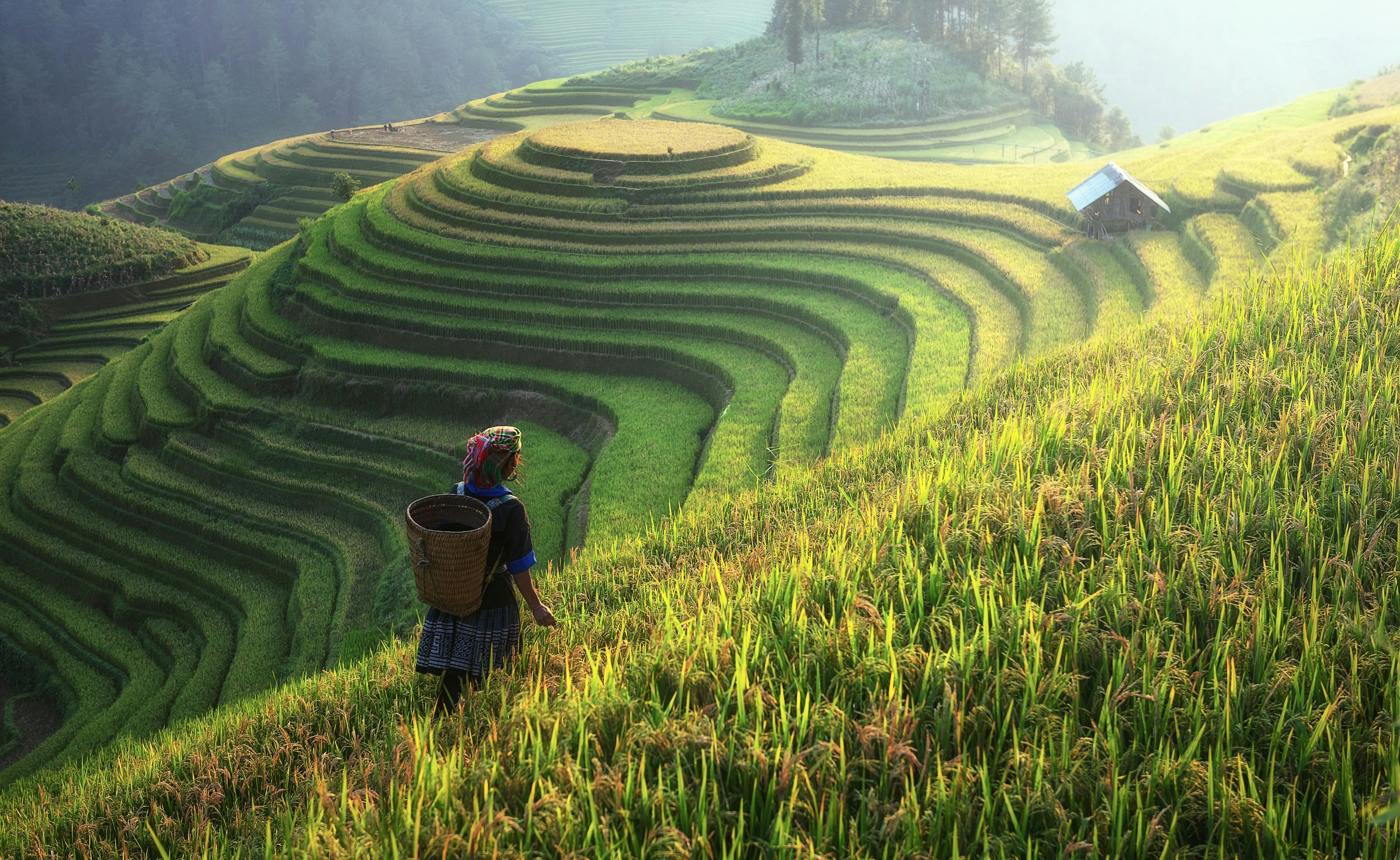 agriculture, asia, canyons