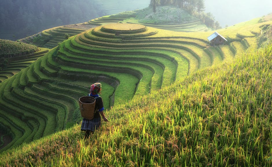 agriculture, asia, canyons