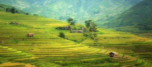 Free Beautiful landscape of green rice terraces in rural Asia with small houses scattered across the hills. Stock Photo