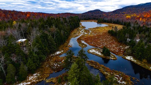 Cabin Near Pine Trees and River