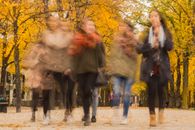 Group of People Walking Under the Orange Tree