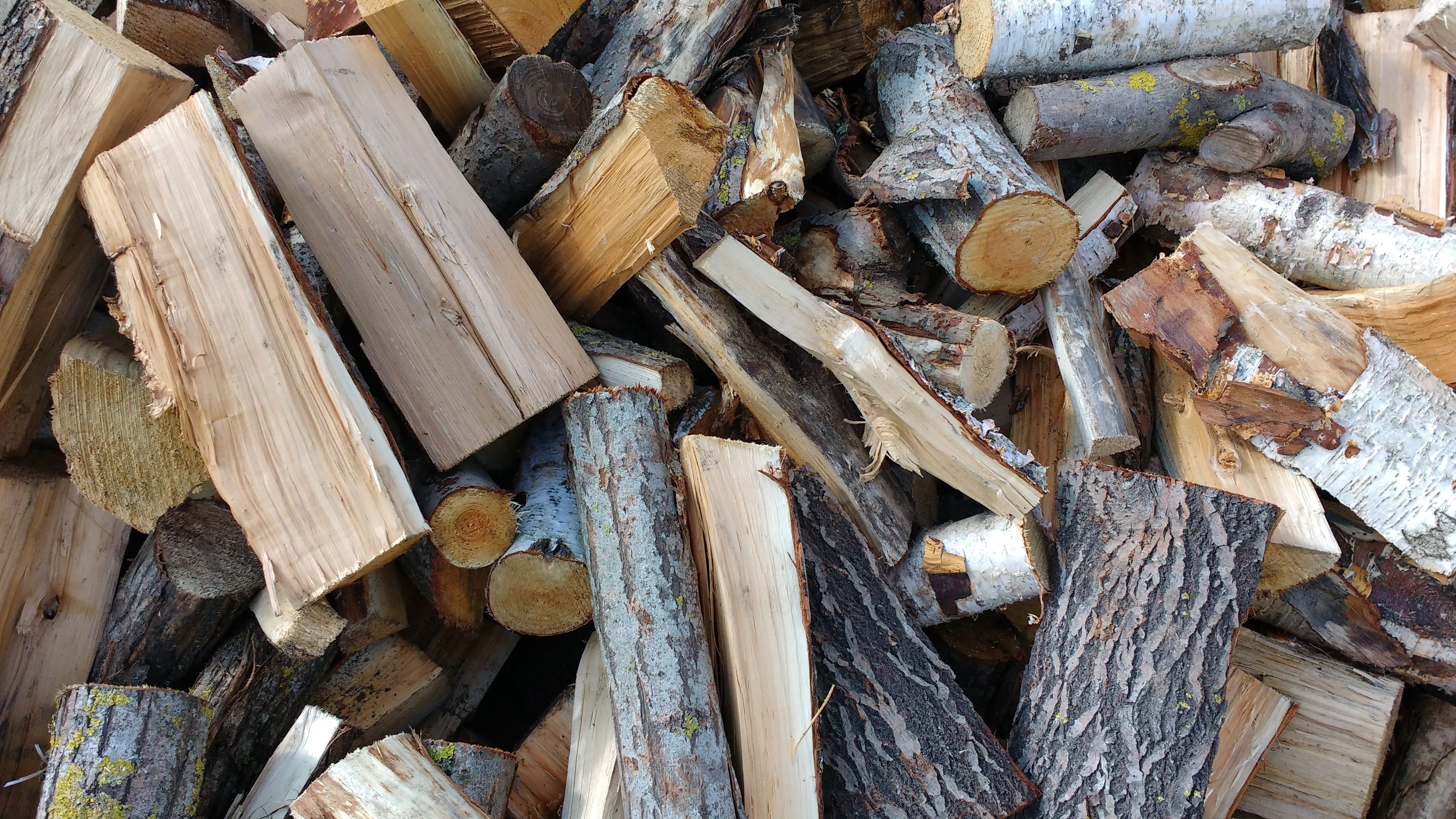 Kostenloses Foto zum Thema: brennholz, gefällter baumstamm, holz