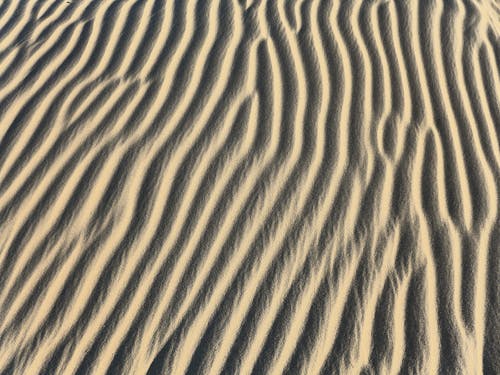 Free Sand Dunes Stock Photo