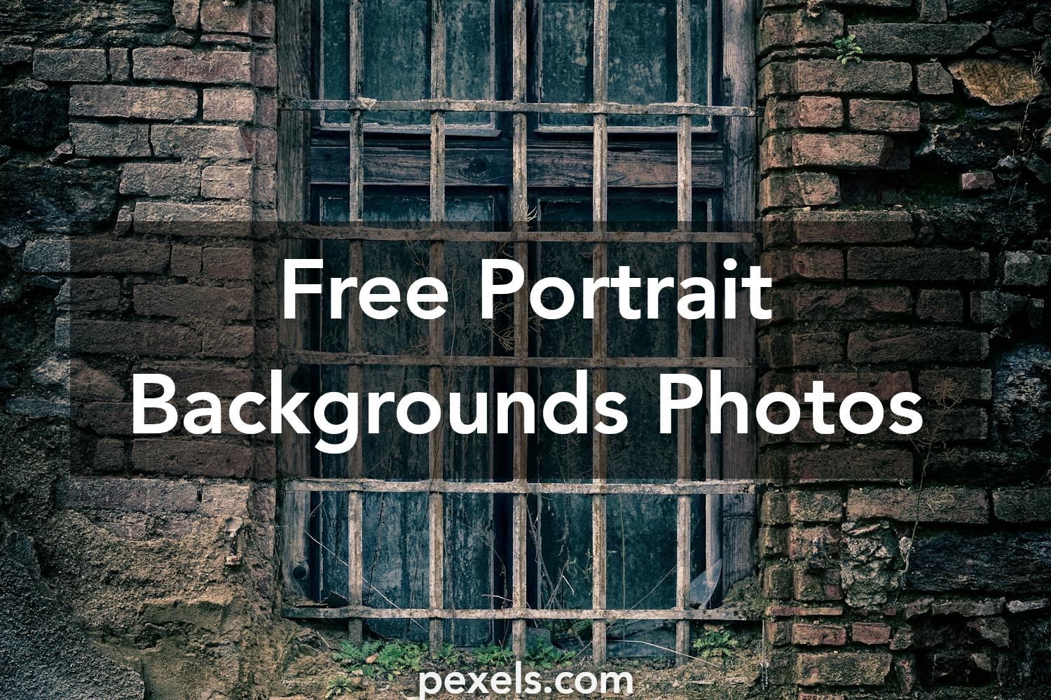 1000 Amazing Portrait Backgrounds Photos Pexels Free Stock Photos