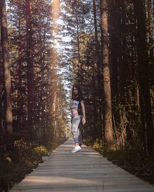 Free A woman walks along a sunlit forest footpath in Lithuania, surrounded by tall trees. Stock Photo