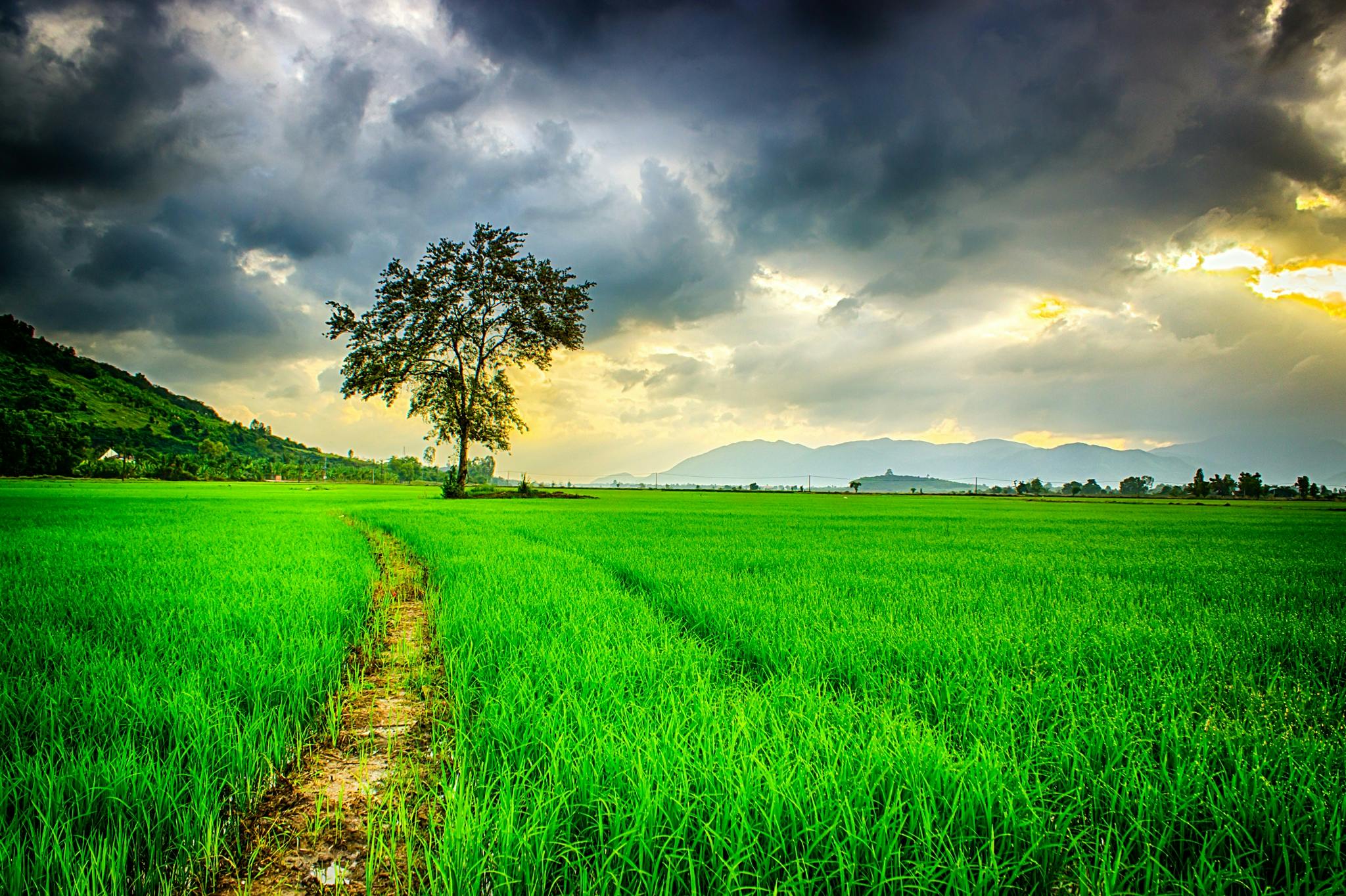 Free stock photo of clouds, cloudy, countryside