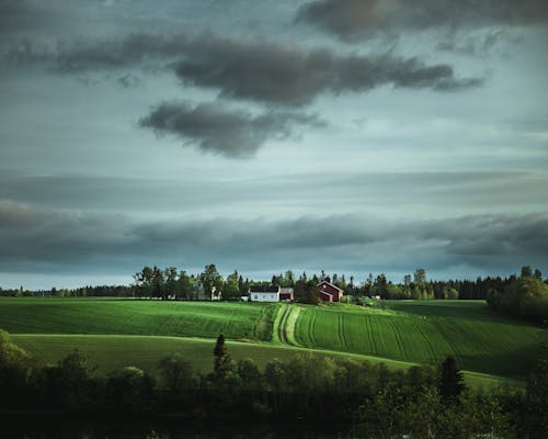 Fotobanka s bezplatnými fotkami na tému dedinský, farma, hracie pole