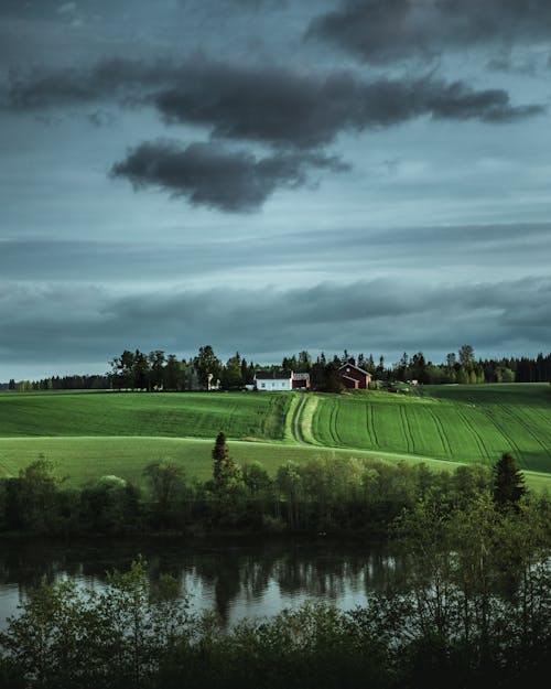 Campo Di Erba Verde