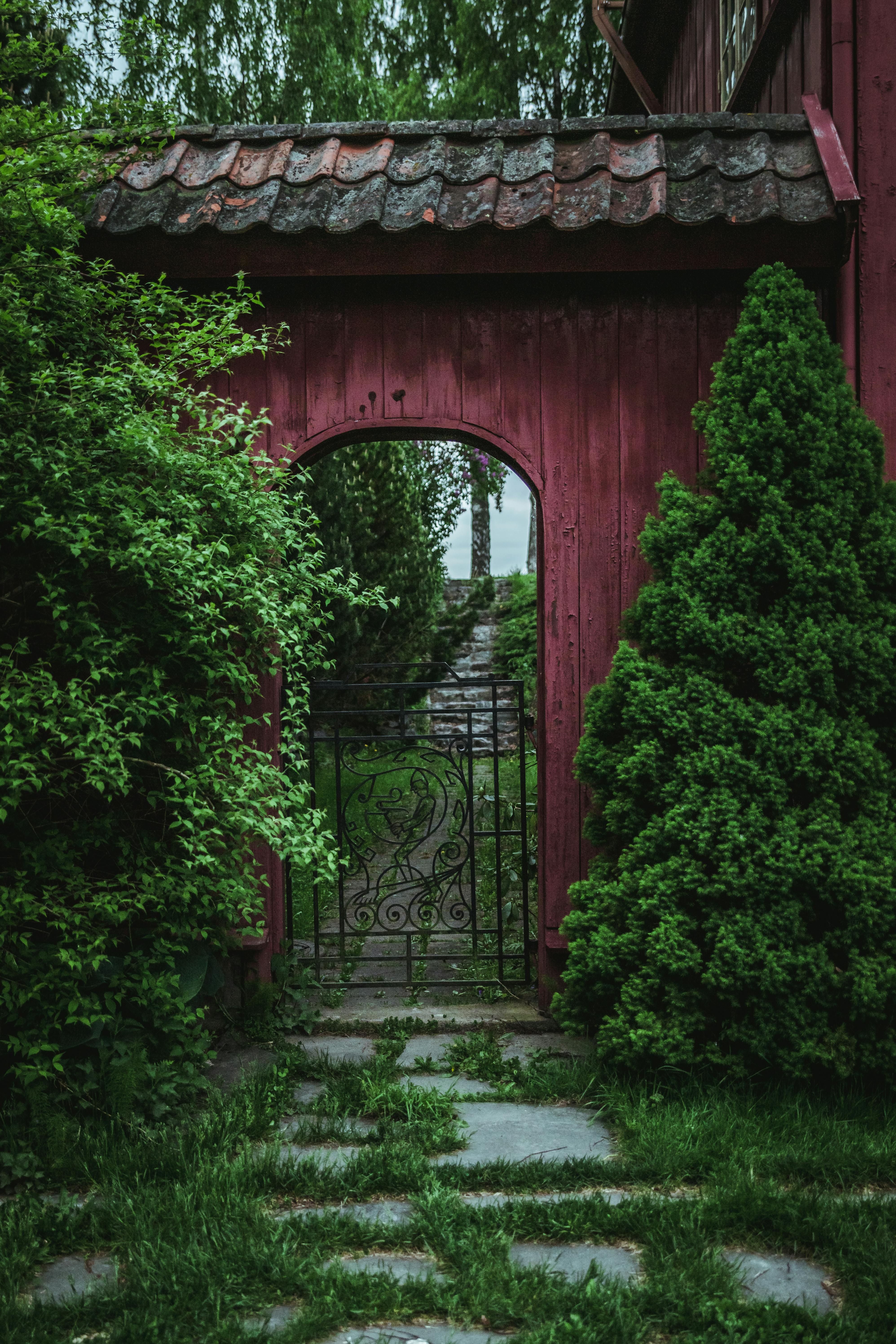 40,000+ Best Garden Background & Images · 100% Free Download · Pexels