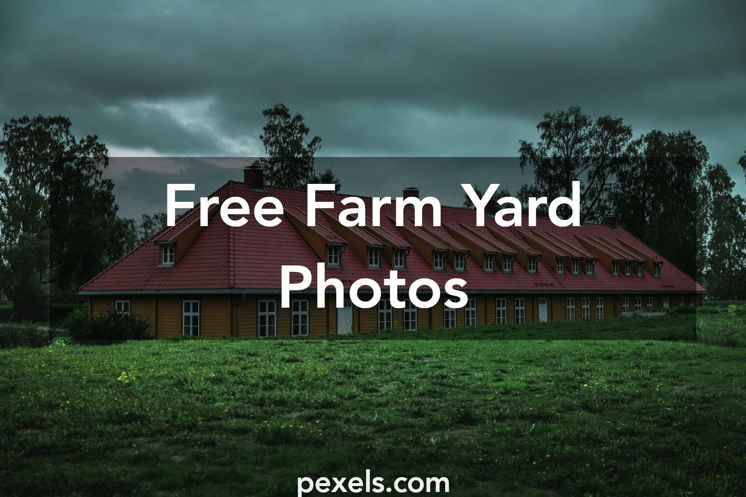 1000 Amazing Farm  Yard Photos  Pexels   Free Stock Photos