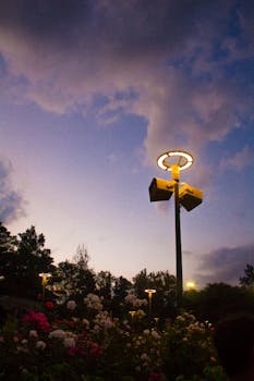 路灯照亮了碧瑶宁静的夜空，四周鲜花环绕