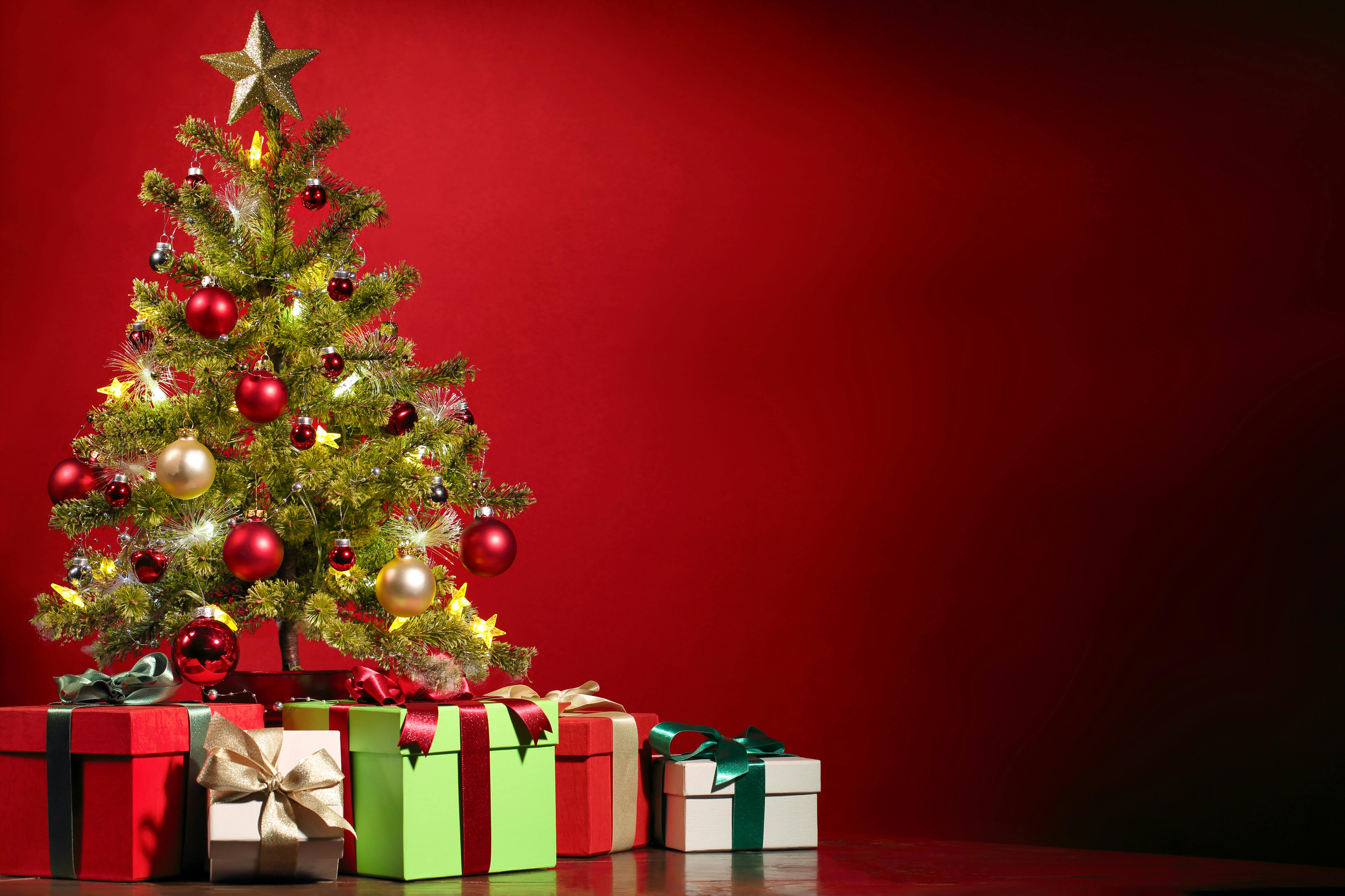 Christmas Tree at Home · Free Stock Photo