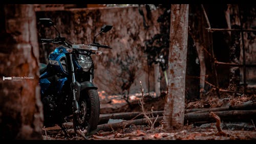 Free stock photo of car, yamaha