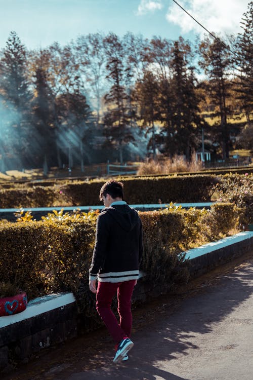 Základová fotografie zdarma na téma chlapec, denní světlo, dítě