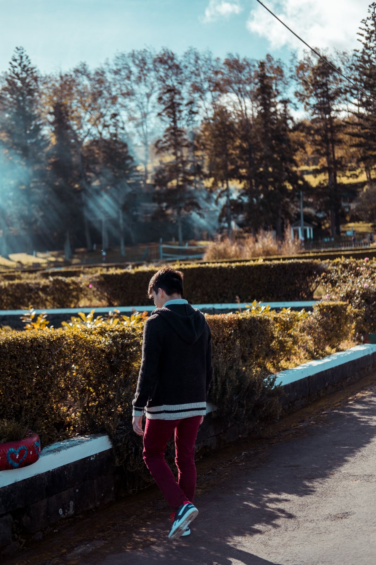 A relaxed morning walk outdoors