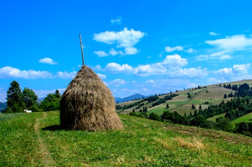 Kostenloses Stock Foto zu berge