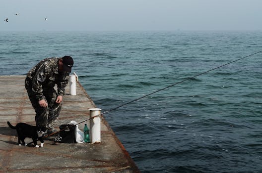 渔夫带着猫、鱼竿和海景，在码头上