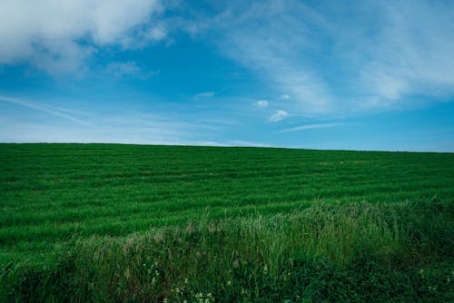 Безкоштовне стокове фото на тему «блакитне небо, відкрите поле, вітер»