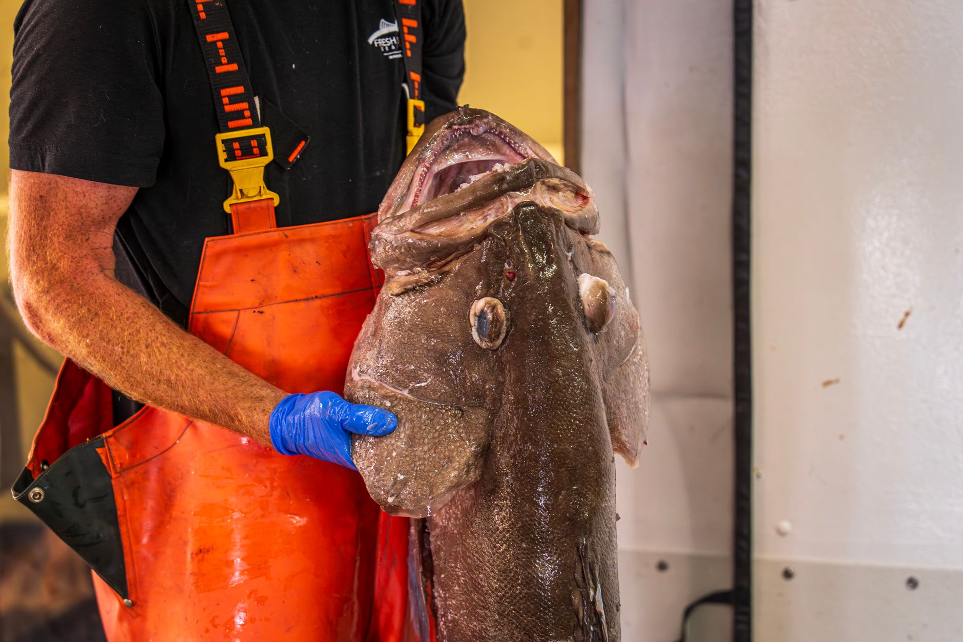 Western Roughy What Does Orange Roughy Taste Like? - Chef's Resource
