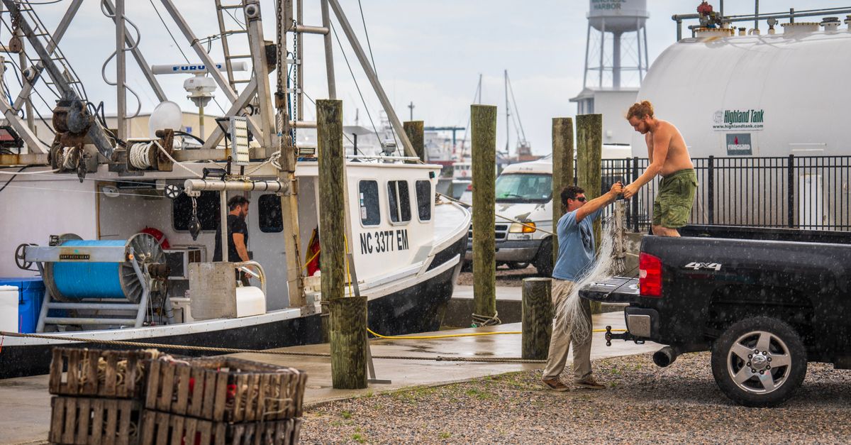 Two fishermen unloading their catch at the harbor with a moored trawler and pickup truck in the scene.