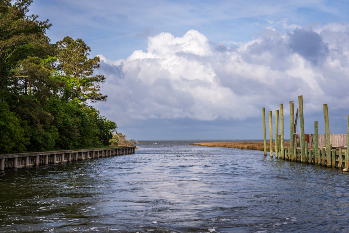 A view of a dock with a pier and trees