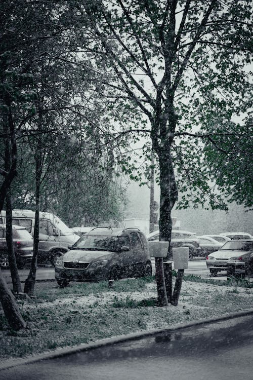 A black and white photo of cars parked in the snow