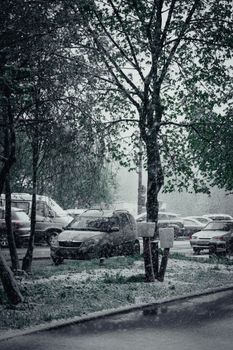 A serene rural parking area covered in snow with cars and trees during a winter day.