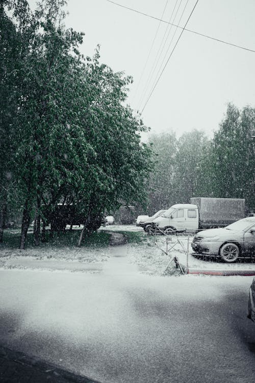 A car is parked in the snow near a tree