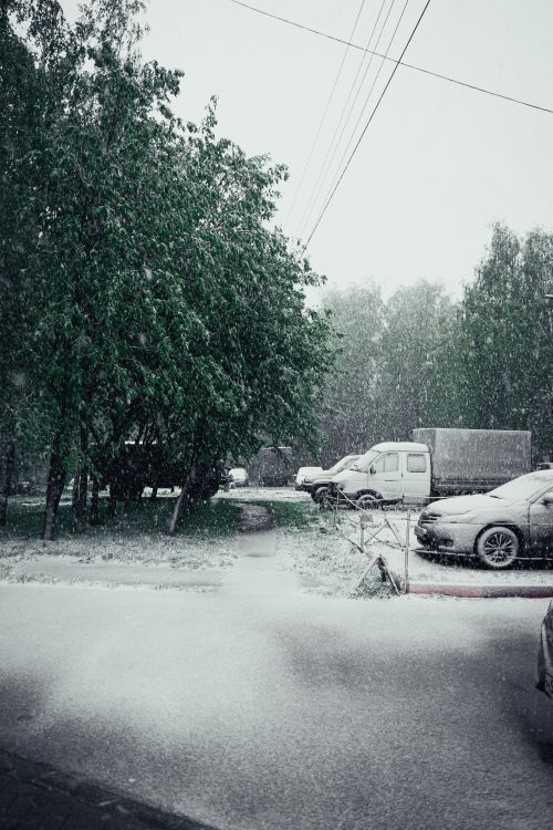 Free Serene rural winter scene with snow-covered parked cars and forest backdrop. Stock Photo