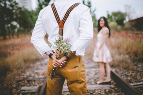 Gratis arkivbilde med blomster, bruke, bukett