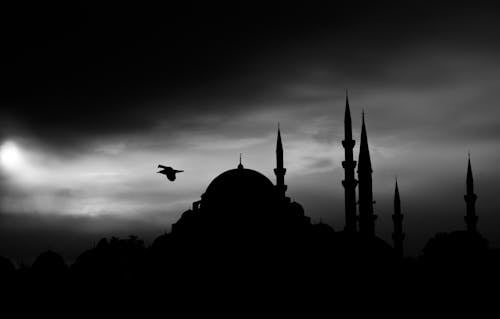 Grayscale Photography of Bird Flying Above Dome Building