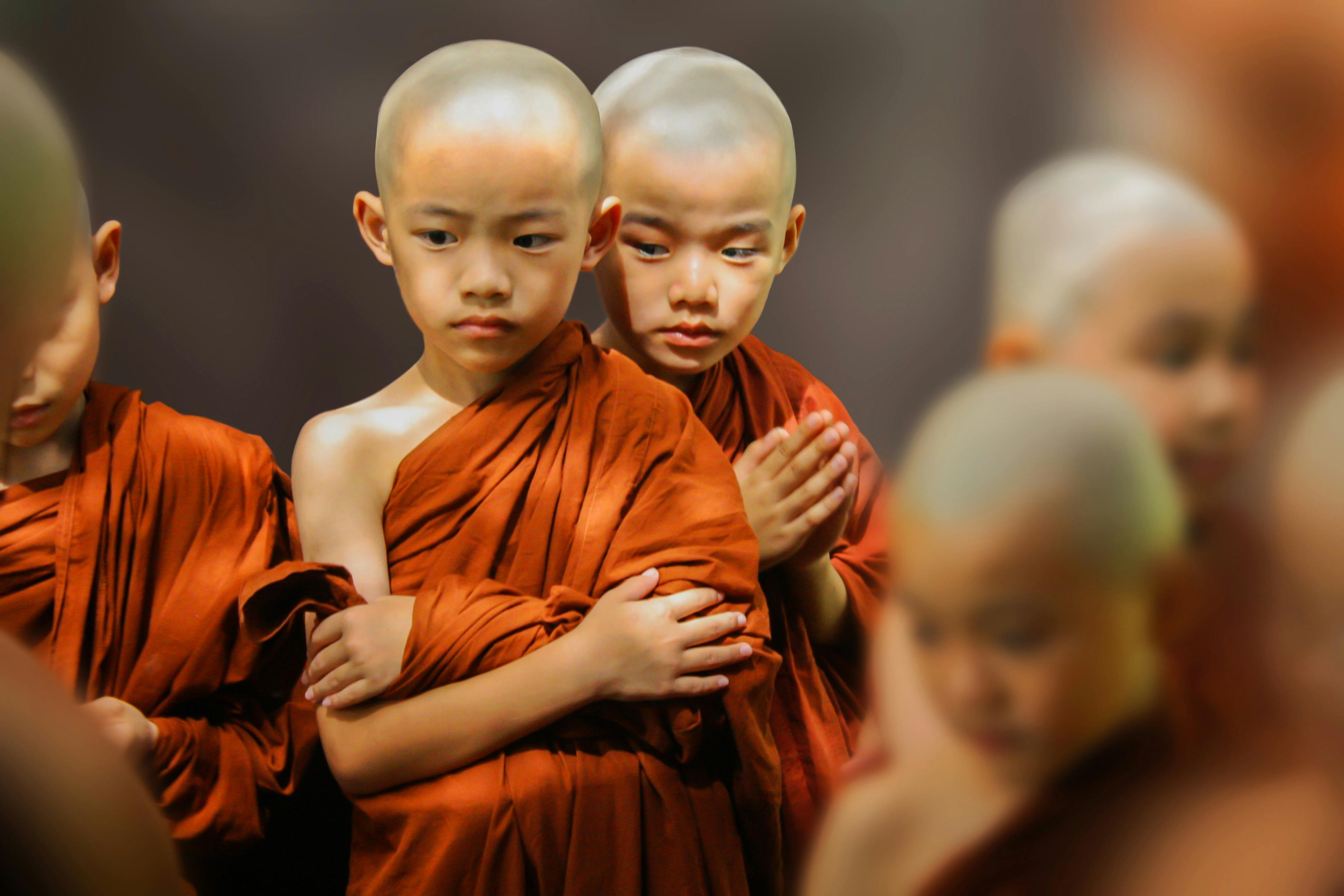 1000 Buddhist Monk Pictures  Download Free Images on Unsplash