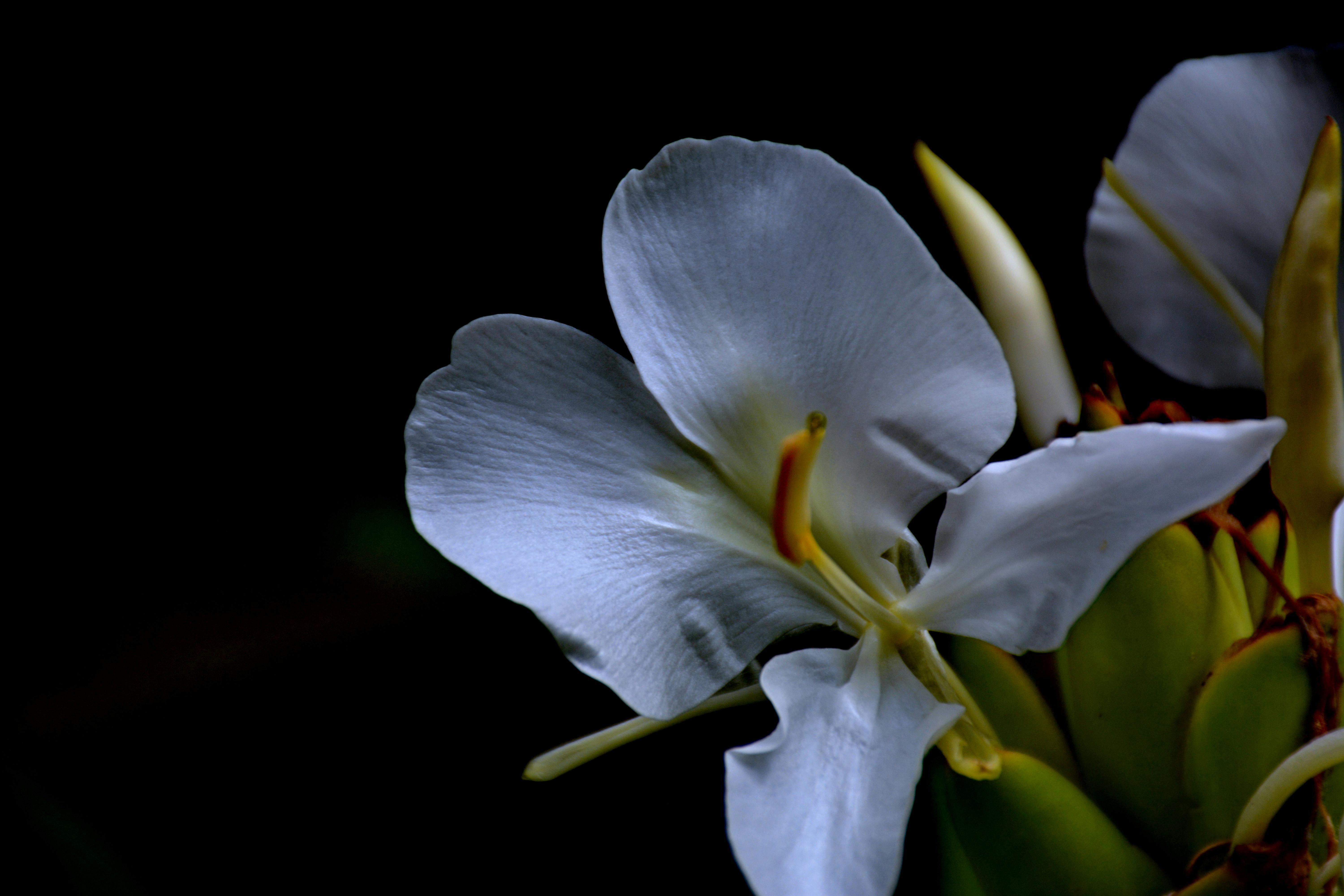 Obras de ingeniería