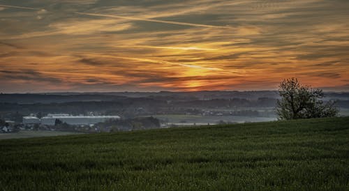 Безкоштовне стокове фото на тему «Ранкове сонце, ранній схід сонця, рано вранці»