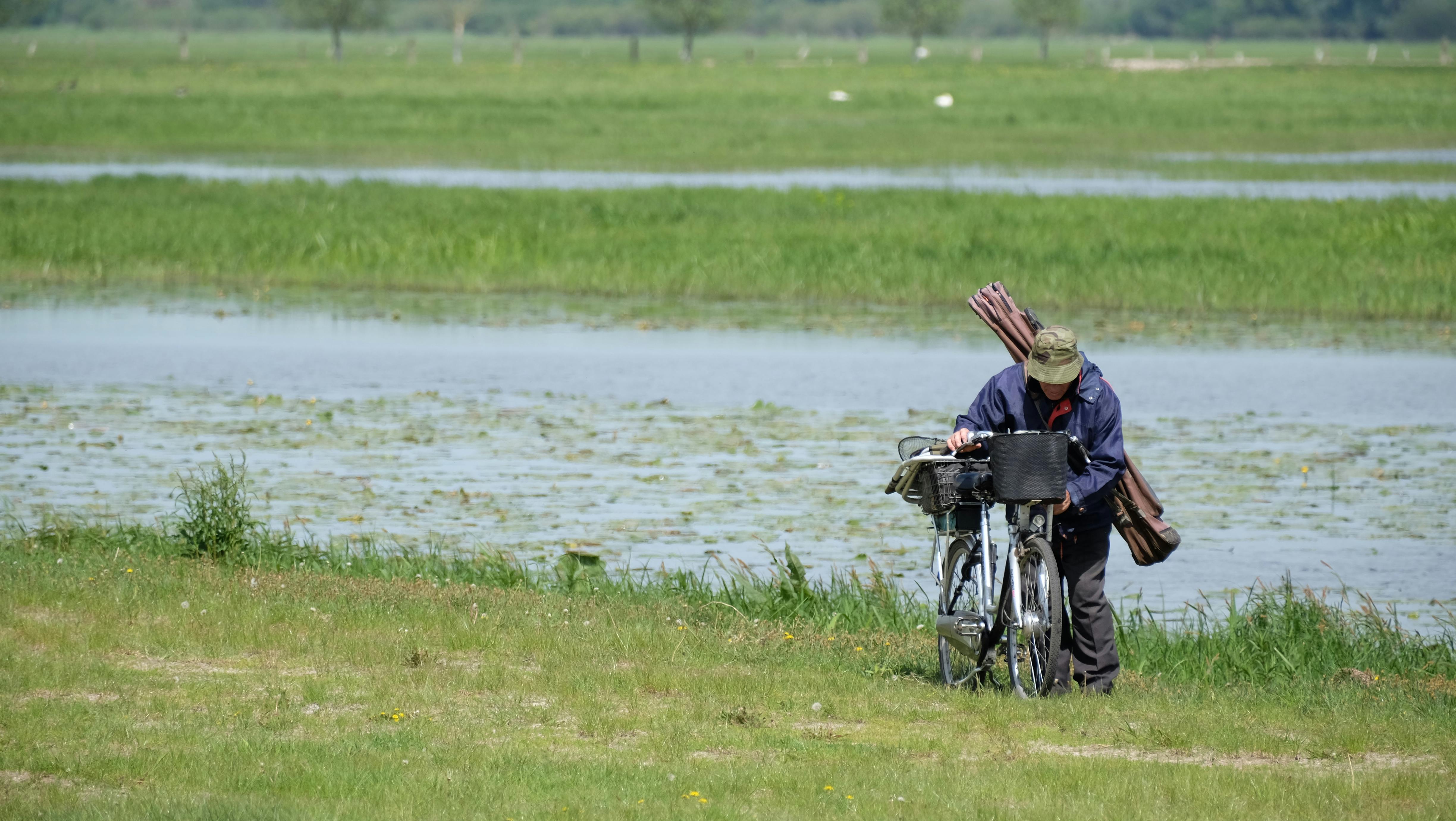 Tineola bisselliella: Control, Prevención y Erradicación de Polillas