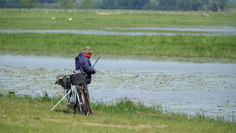 A man fishing by a calm green pond